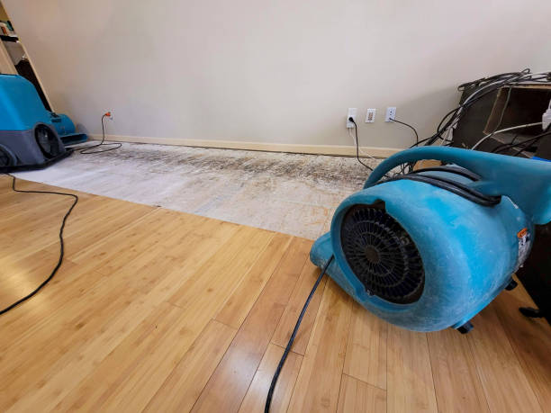Professional Water Damage Repair technician working in Cochiti Pueblo, NM
